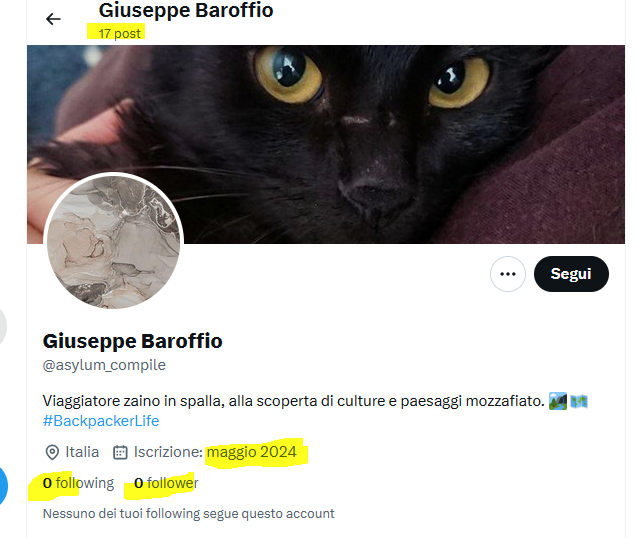 quest'altro invece, nome italiano, 17 post di retweet senza scrivere nulla, tutti con gli stessi disegnini contro la #Meloni, contro la guerra e contro l'Europa in vista delle #elezionieuropee