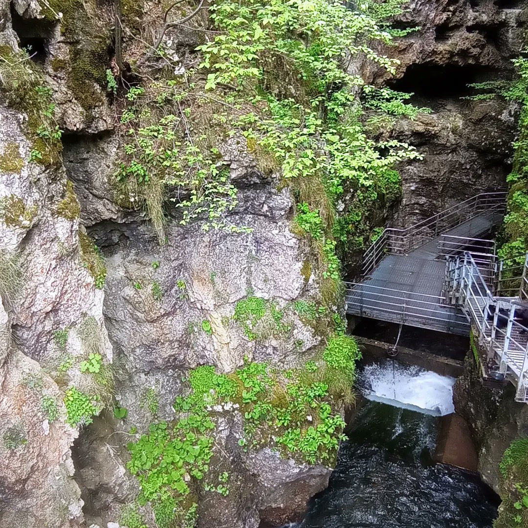 Andrea Debiasi (@andreadebiasi5) on Twitter photo 