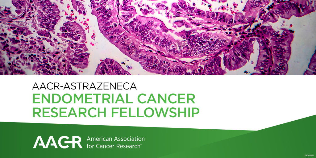 The AACR-AstraZeneca Endometrial Cancer Research Fellowship is a two-year, $130,000 grant that supports postdoctoral or clinical research fellows working on a mentored endometrial cancer research project. Apply by July 18. Learn more: bit.ly/4bV2qIF