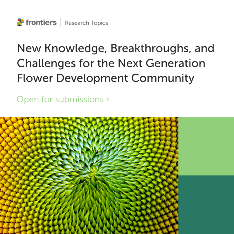 FrontPlantSci's tweet photo. In collaboration with the recent Workshop on Molecular Mechanisms Controlling Flowering 2024, our Research Topic on the innovation of next-gen flower development is open for submissions!🌼

📅 20 November 2024 for Submissions

#FrontiersInPlantScience #FlowerDevelopment #WMMCF24