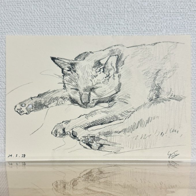 5.28 つばめ 