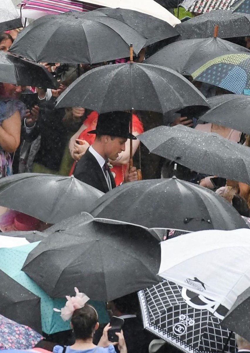 Given current circumstances, there's something rather prophetic about these images.

In a sea of black umbrellas, these two shine like shafts of glorious sunlight. There's a touch of the magical about them 👑🥰 #ThisTooShallPass 

#LionandLionessofWindsor