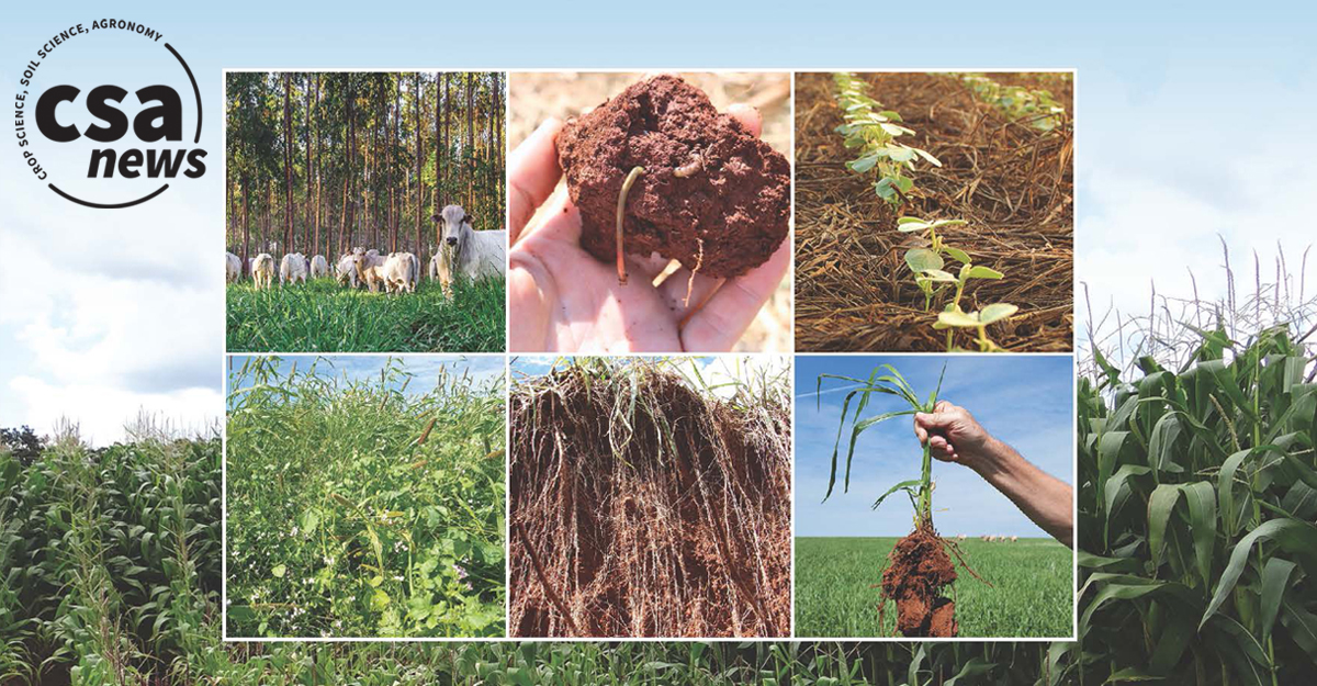 A new book, ‘Soil Health and Sustainable Agriculture in Brazil’, explores the trials and opportunities that have arisen in the last 50 years as Brazil has become one of the world’s biggest food producers and exporters. Learn more: ow.ly/i4Yi50RYpRY