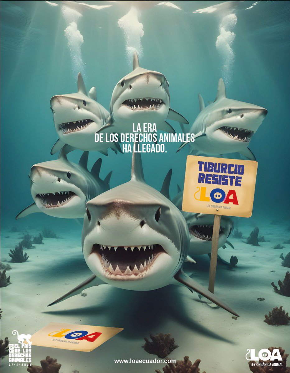 Ya se propuso una moratoria para el tiburón, para frenar su pesca y evitar que el cruel negocio de quitarles sus aletas y exportarlas siga sucediendo. Anterior Asamblea le falló a los tiburones, esperamos que esta esté a la altura de la nueva era, la de los Derechos. #YoApoyoLoa