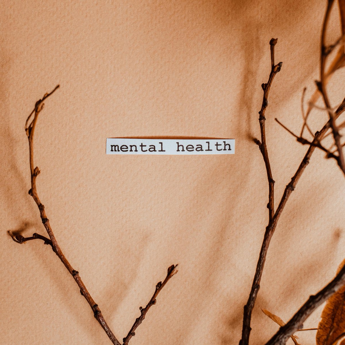 Mental Health - Overcoming Stigma, Reframing Language

In the journey toward mental health awareness and acceptance, overcoming stigma and reframing the language we use are pivotal steps.

Read full article at: communityassessment.org/news-archive.h…

#mentalhealth