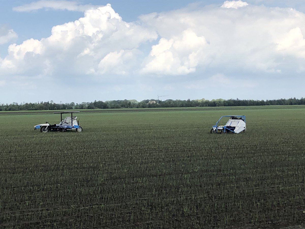 Jolanda Wijsmuller tweet media