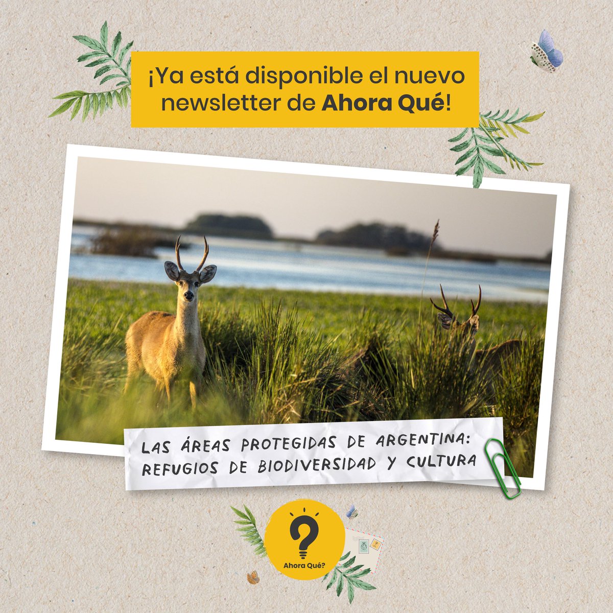 Descubrí la importancia de las áreas protegidas en Argentina y qué se necesita cambiar para contribuir a su preservación. 🔗 Podés leer el artículo completo acá: open.substack.com/pub/mediamosco…
