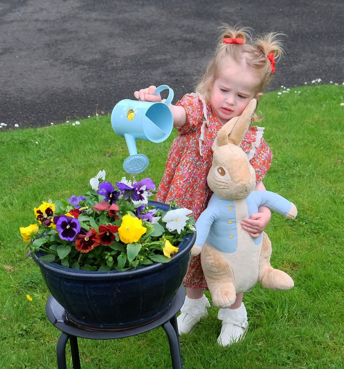 CardwellGC tweet media