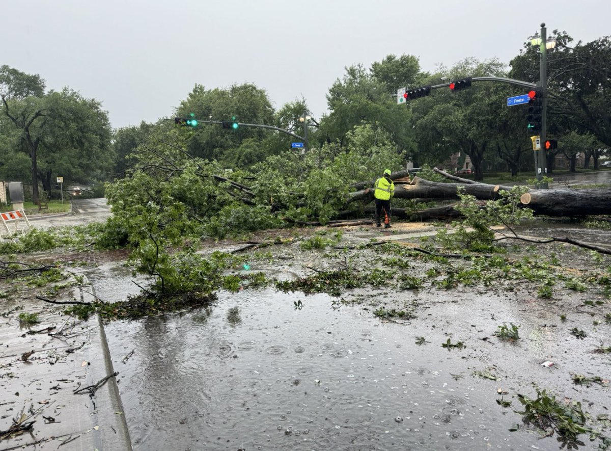HPDPS_TX's tweet photo. Work crews are actively working to clear trees from Preston Road at Beverly Drive and Mockingbird Lane between Douglas Avenue and Armstrong Avenue. https://t.co/S6MxVDEtC6