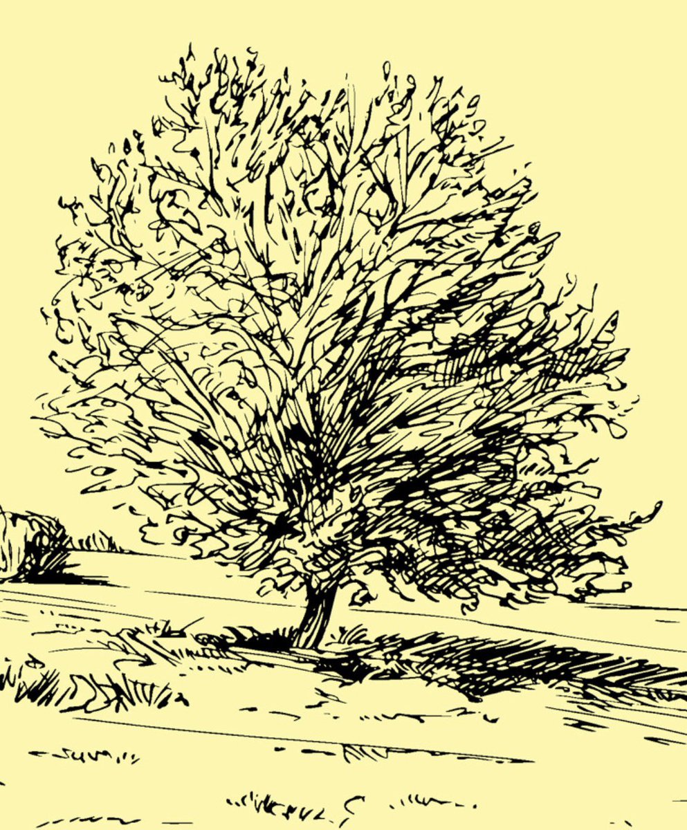 “저 높은 하늘을 향해 성장하려는 나무가 험한 날씨와 거센 폭풍우를 피할 수 있겠는가?”

- 프리드리히 니체 ‘왜 너는 편하게 살고자 하는가’ 중에서