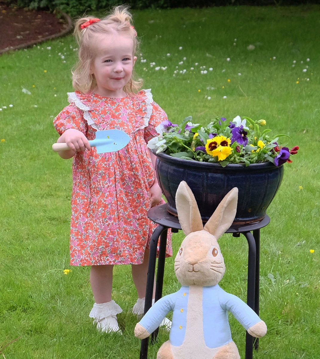 CardwellGC tweet media