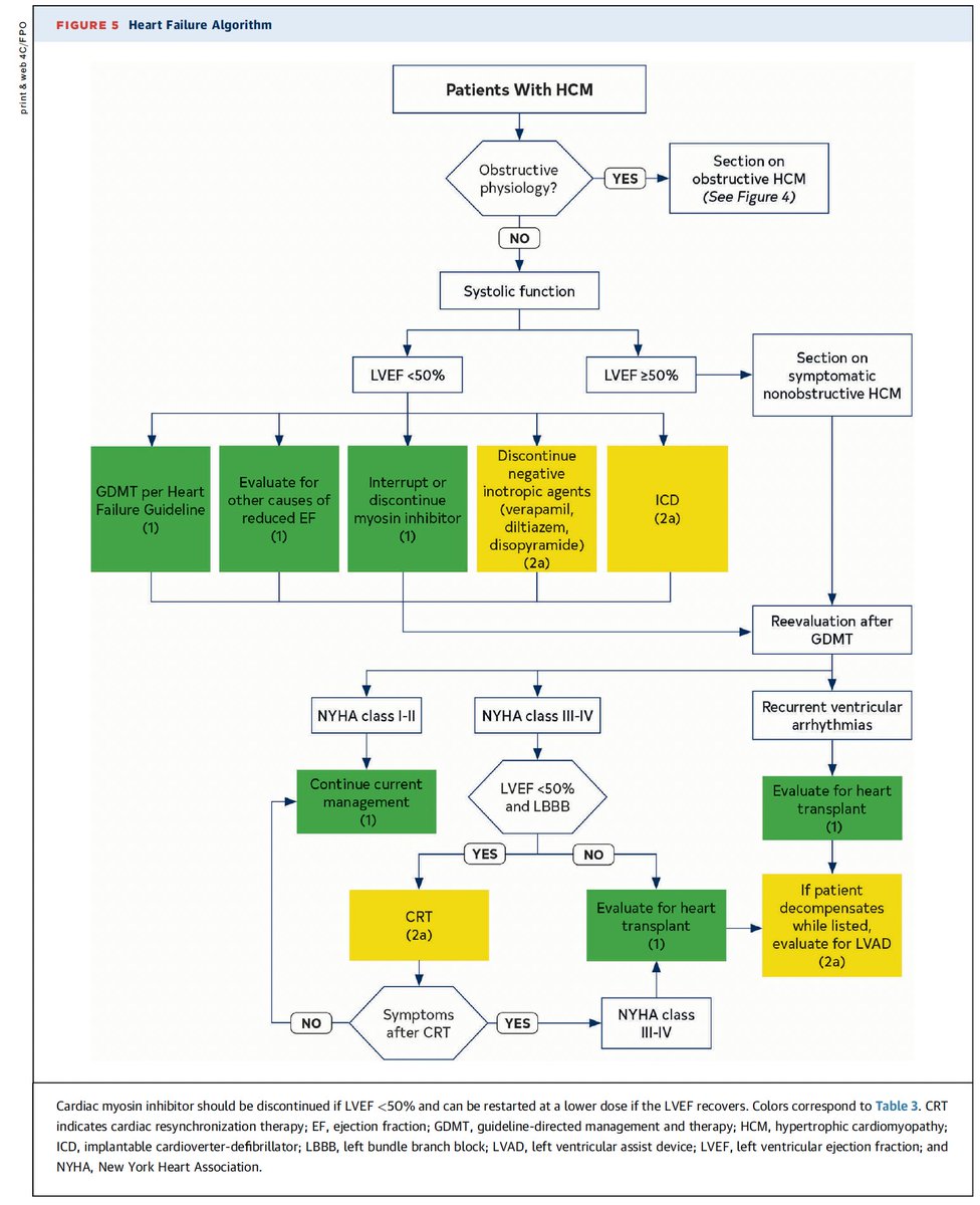 🆕 2024 Guía AHA/ACC para el tratamiento de la miocardiopatía hipertrófica.

📕 JACC
🔓 cardioteca.com/insuficiencia-…