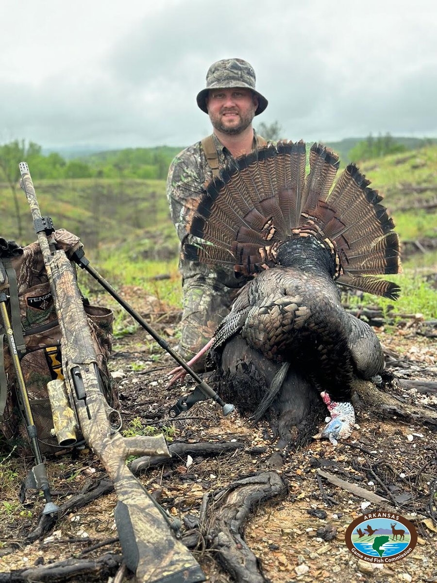 🦃 Arkansas turkey harvest continues slow climb LITTLE ROCK — According to the latest harvest statistics compiled through the Arkansas Game and Fish Commission licensing system, Arkansas hunters harvested 9,335 turkeys during the 2024 annual turkey ...bit.ly/451PRJ7