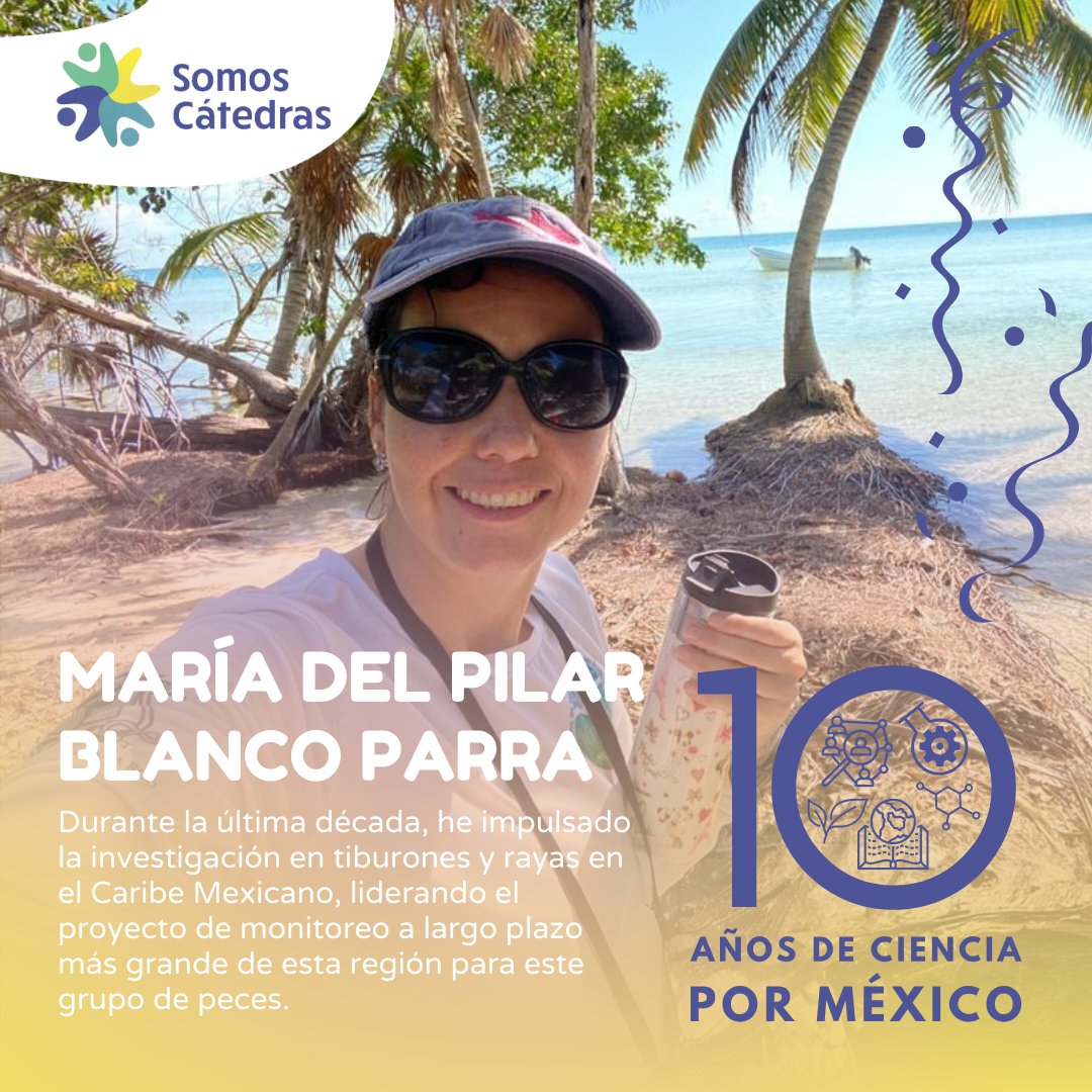 SomosCatedras's tweet photo. 🌟 Conozcan a la Dra. María del Pilar Blanco Parra, destacada Bióloga Marina de la Universidad de Bogotá Jorge Tadeo Lozano #UJTL. Su formación incluye una maestría y un doctorado en Ciencias del Mar y Limnología por la UNAM #ICMYL. #CátedrasConacyt #IXM https://t.co/o9PtBWM53I