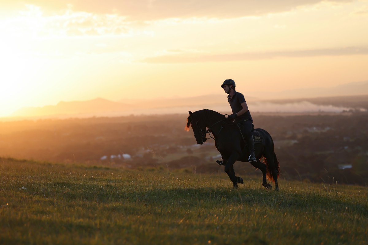 Port Elizabeth Riding Club The Hill Equestrian Estate (@thehillestate) / Posts / X