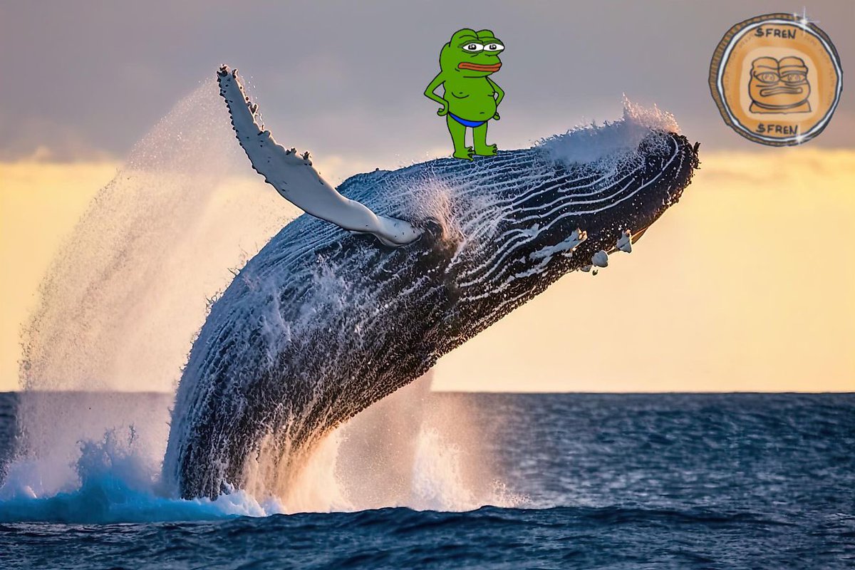 Did y’all know there are whales in these waters? $FREN