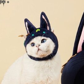 actually tears in my eyes i cant wait to match my tighnari headband with my cats