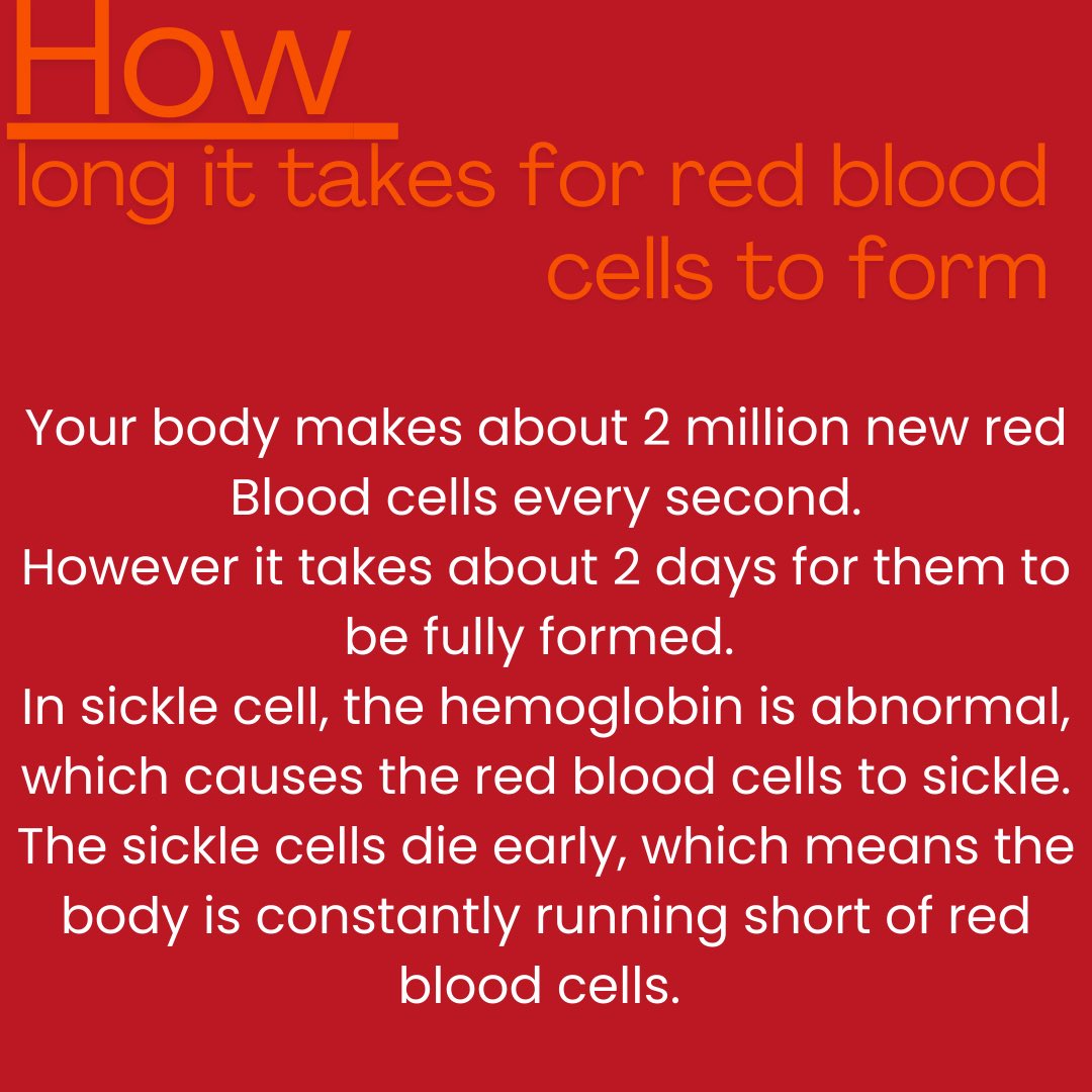 Sickle Cell Fact of the Day! Did you know this?🤔 #scanca #sicklecell #sicklecellawareness #redbloodcells #cellformation #science #health #reels #factoftheday #relateable