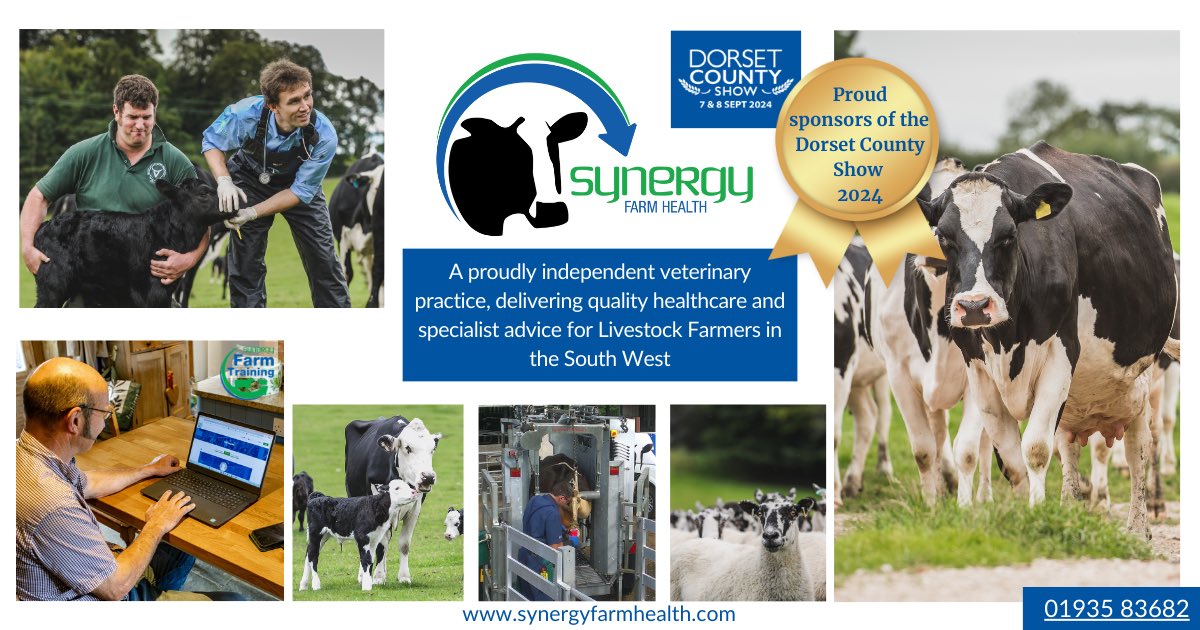 Dorset County Show (@dorsetcshow) on Twitter photo We're pleased to welcome back <a href="/SynergyFarmVets/">Synergy Farm Health</a> to the County Show as Sponsors!
Visit Synergy on Avenue J, opposite the Main Ring to hear about their outstanding Farm Animal Veterinary Services for Livestock Farmers in the South West.
synergyfarmhealth.com We're pleased to welcome back <a href="/SynergyFarmVets/">Synergy Farm Health</a> to the County Show as Sponsors!
Visit Synergy on Avenue J, opposite the Main Ring to hear about their outstanding Farm Animal Veterinary Services for Livestock Farmers in the South West.
synergyfarmhealth.com