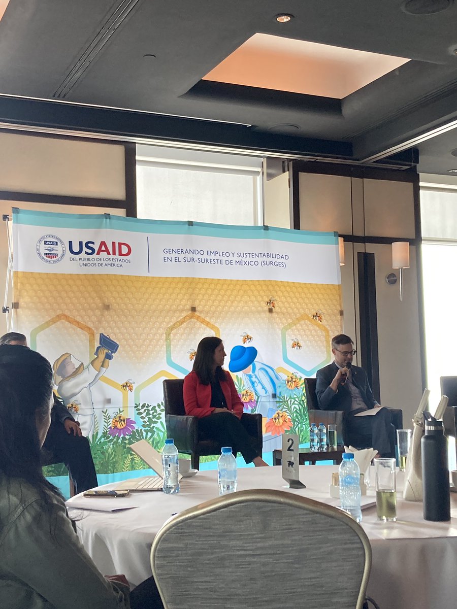 LeslyTulia's tweet photo. Iniciamos la conversación con el sector privado para fortalecer  la cadena de valor de la #miel en Mexico con participación de @USAIDMX @SistemaB @GrupoHerdezMX @Chedrauioficial 

Gracias a la iniciativa SURGES por la invitación @Mexico_TNC https://t.co/AGRbbSTAeD