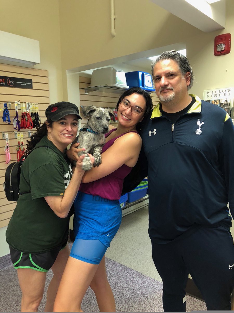 Humane Society HBG tweet media