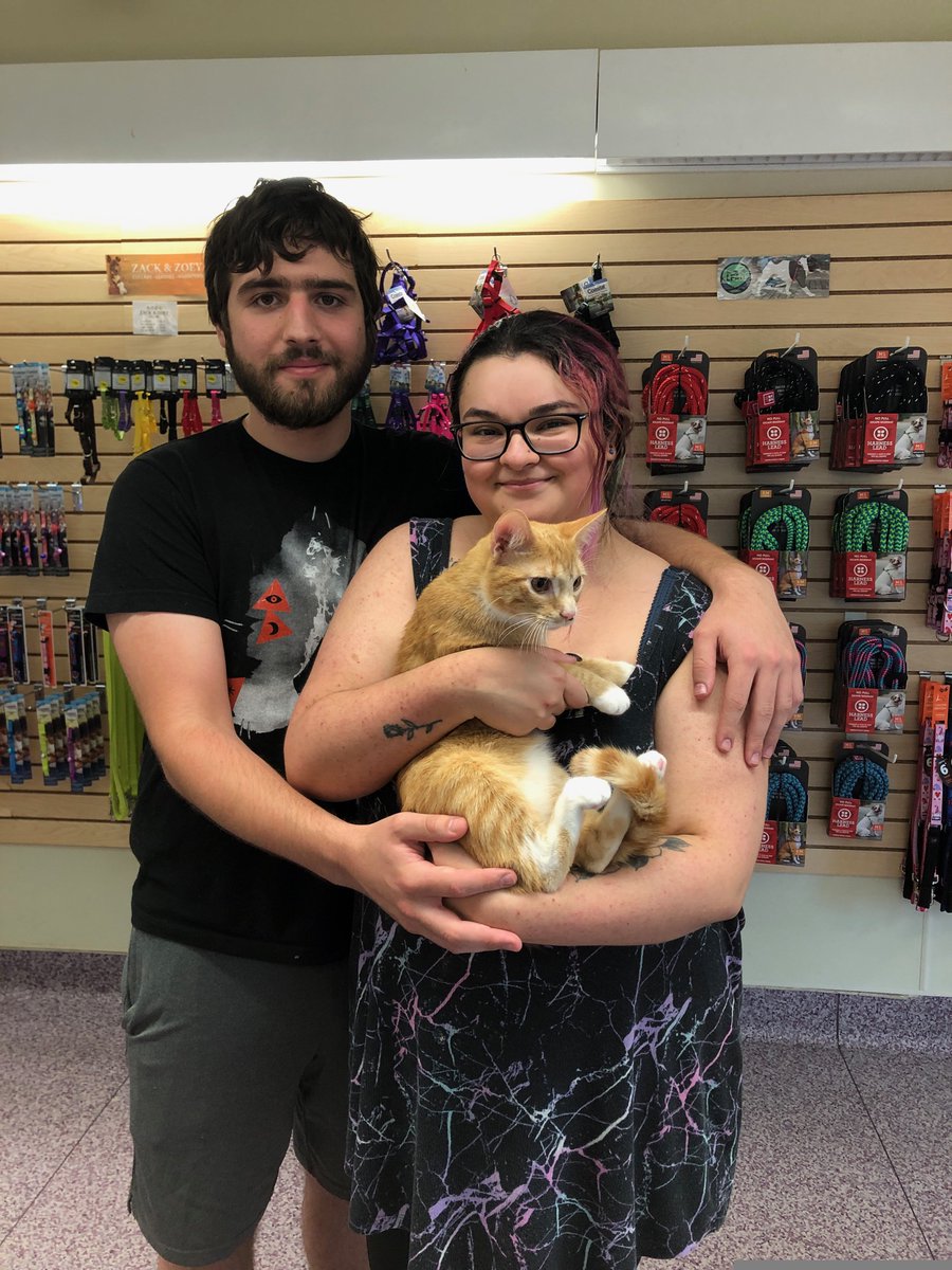 Humane Society HBG tweet media