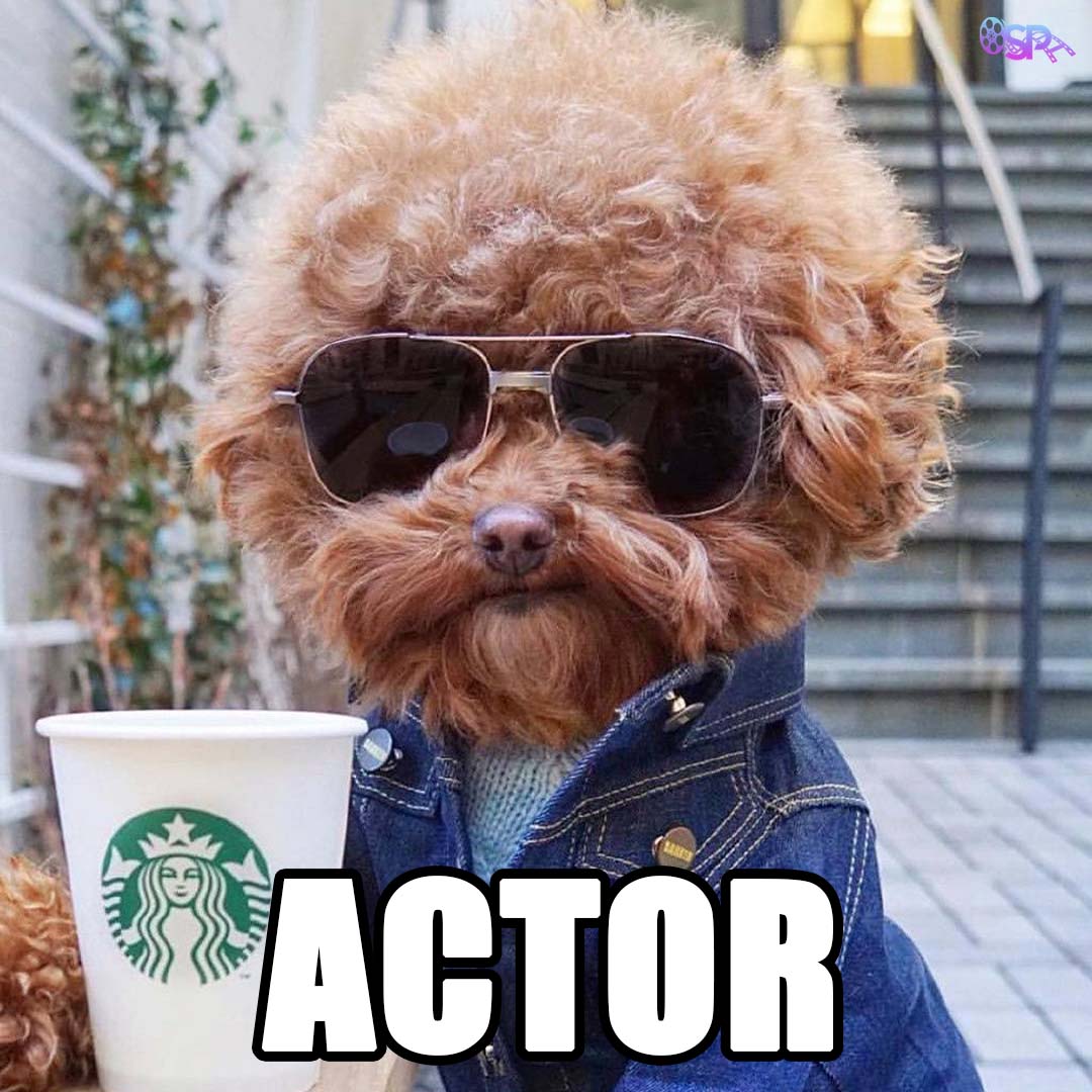 If #dogs worked on #films #movies #movieset #filmset #badhairday #goodhairday #sunglasses #dogmemes #canine #dogmeme #actor #actors #actorslife