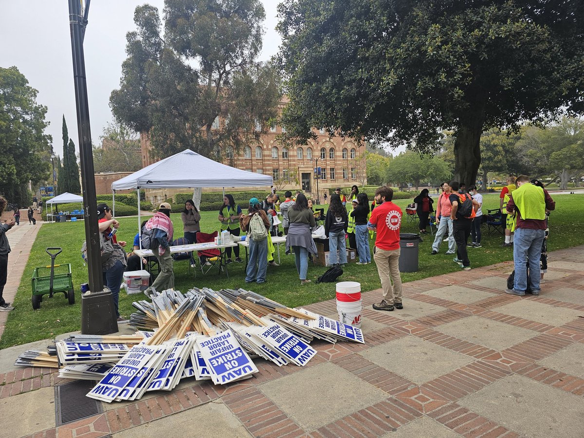 I'm at @UCLA to observe the first day of the @uaw_4811 stand-up strike at UCLA. UC Santa Cruz went on strike with 2,000 academic workers last Monday. Today, UCLA and UC Davis and their roughly 12,000 workers go on strike today. Why they're striking: calmatters.org/education/high…