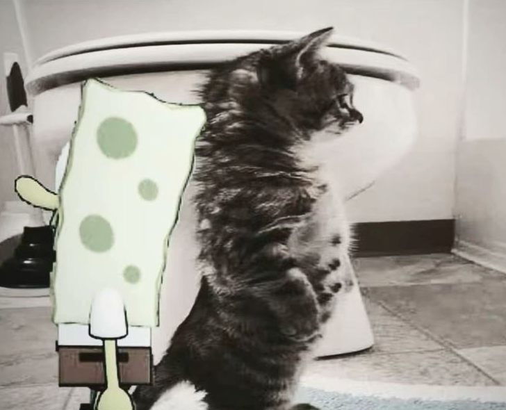 deadmeow03's tweet photo. 😔 https://t.co/06BdRC379a