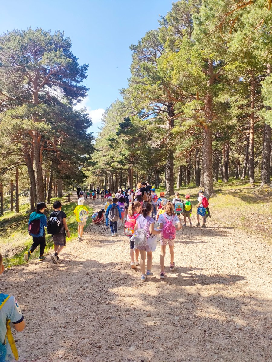 Los de segundo pasan una mañana estupenda de senderismo, naturaleza y deporte al aire libre en el Valle de la Barranca, Navacerrada.
