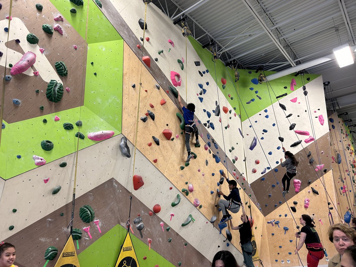 SO Peterson tweet media