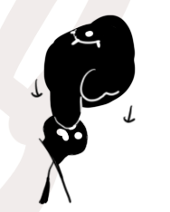 IO (@io56365404) on Twitter photo 