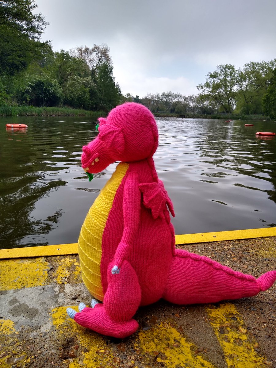 #HumpdayHappiness on a #citybreak to #London for our mascot Flame. A lovely #coldwater #swim at @CityCorpHeath Hampstead Ponds was refreshing & fun - with ducks & geese!🦆
#SwimmingPools #Holidays #Swimming #coldwaterswim #HampsteadHeath #coldwaterswimming