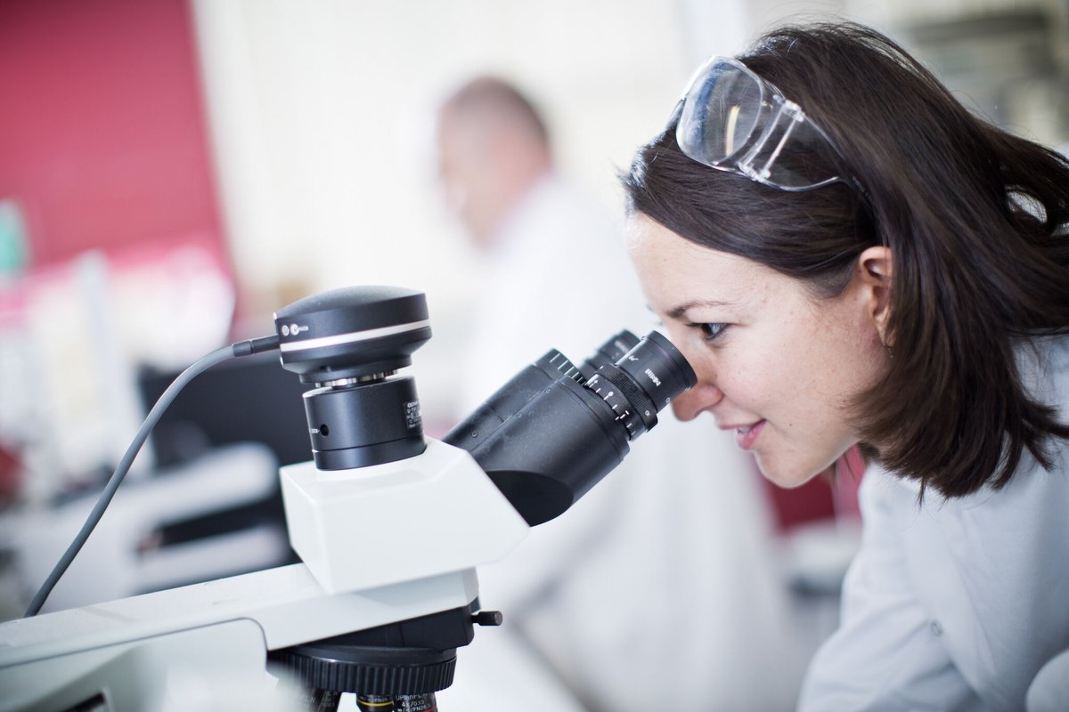 HUD_HRG's tweet photo. ⭐️ Job of the week ⭐️ 
Research Fellow in Decarbonising the Fashion &amp; Textile Industry
For more information and to apply: https://t.co/CLS9W73R65
For details of all our current vacancies: https://t.co/buZEZcLLSP

#job #jobsearch #joboftheweek https://t.co/91i1sxFmBP