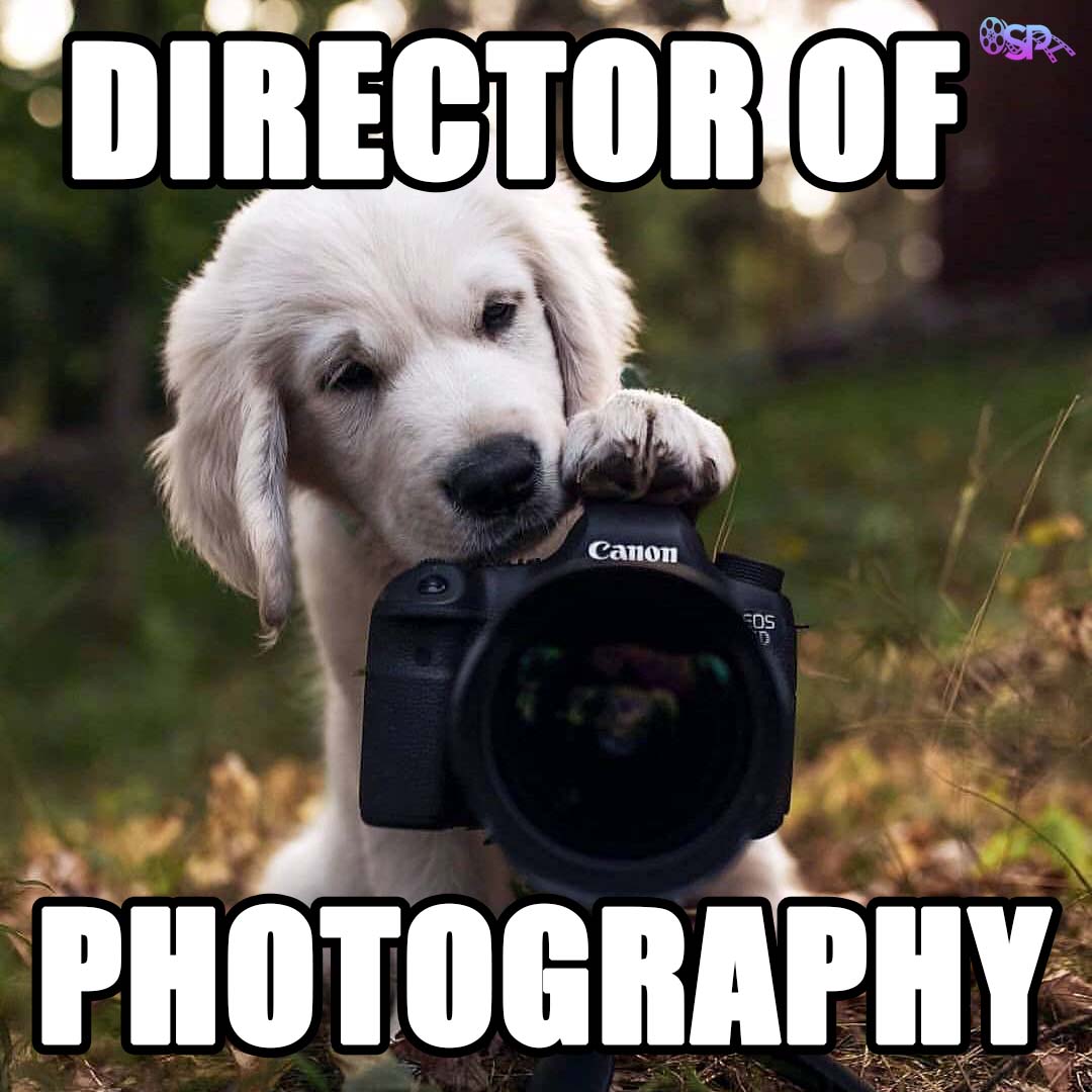 If #dogs worked on #films #movies #movieset #filmset #photography #cinema #cinematographer #puppy #goldenretriever #camera