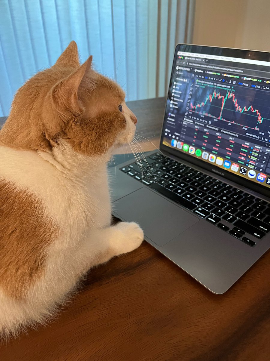 This is who you’re trading against