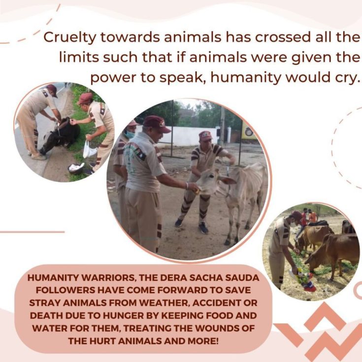 Road accidents are increasing day by day and due to this happening animals are getting injurious. That's why #SaintDrMSGInsan tells that people should give aid to them and save them from getting wounded.
#AnimalWelfare #SaveAnimal
#SaintDrMSGInsan #SaintDrMSG
#SaintRamRahim