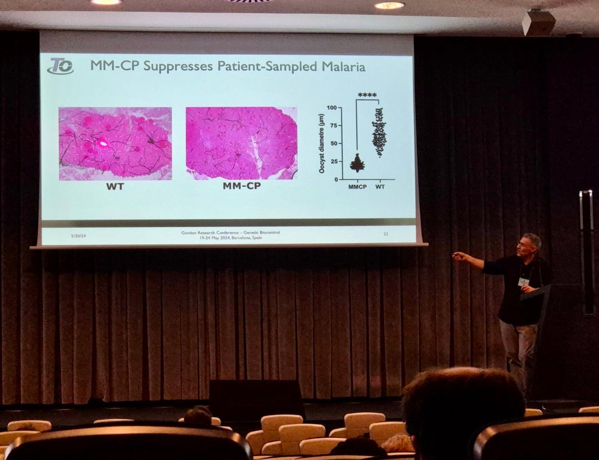 Transmission Zero were delighted to join the #GRC Conference last week in Barcelona!

@ChristophidesG gave a talk on Transmission Zero’s latest work in developing gene drives for malaria control, and the project’s trailblazing work in Tanzania.

#GeneDrive #BioControl