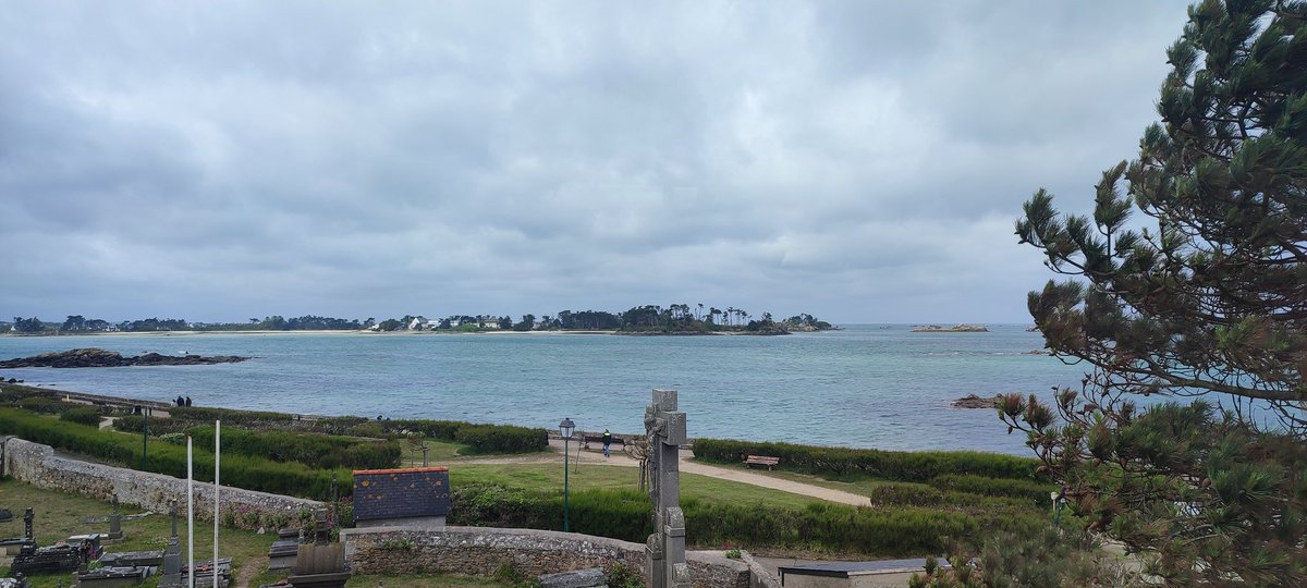 Laura Catón tweet media