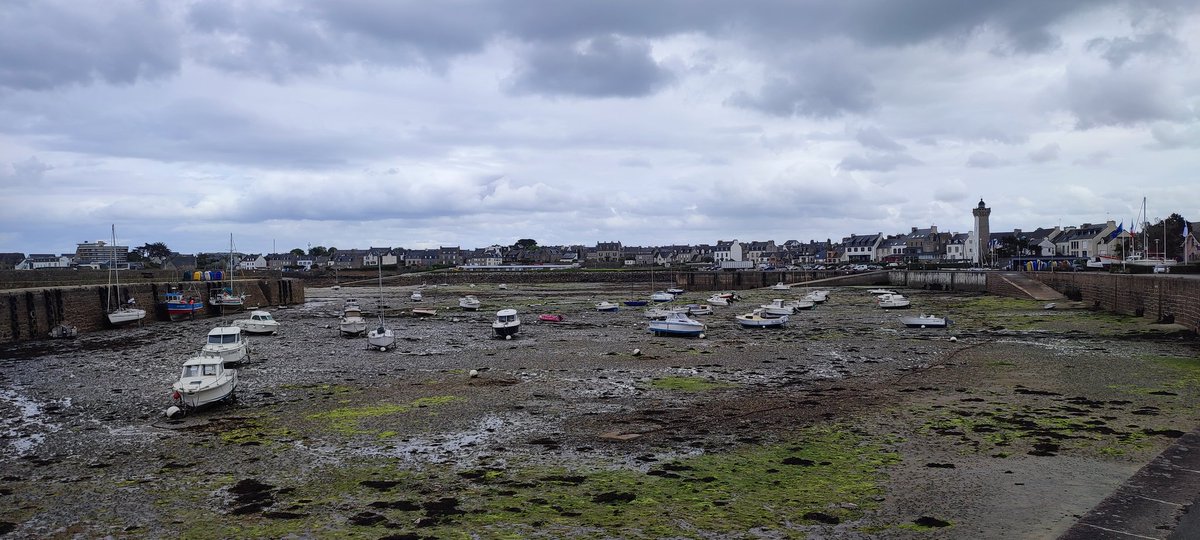 Laura Catón tweet media