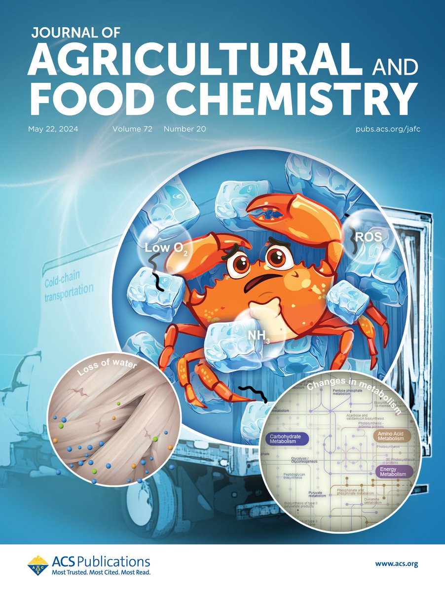 Alternations in the #muscle quality of swimming #crab during cold-chain transportation have been investigated using physicochemical and TMT-based quantitative proteomic analysis. Find out more in this #JAFC cover article go.acs.org/9xN