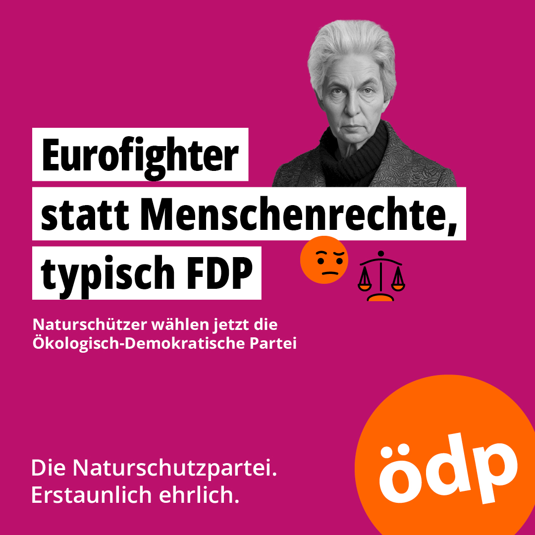 Gegen das EU-Lieferkettengesetz stimmen, das Großkonzerne verpflichtet, #Menschenrechte und Umweltnormen entlang der #Lieferkette ihrer Produkte zu gewährleisten. Dafür ziehen sie mit einer „Eurofighterin“ (so #FDP-Chef Lindner) als Spitzenkandidatin in die Europawahl... 🤔