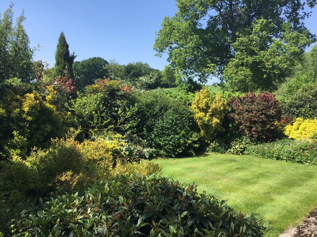Having to mow my sister’s lawn every 6 days at the moment.
