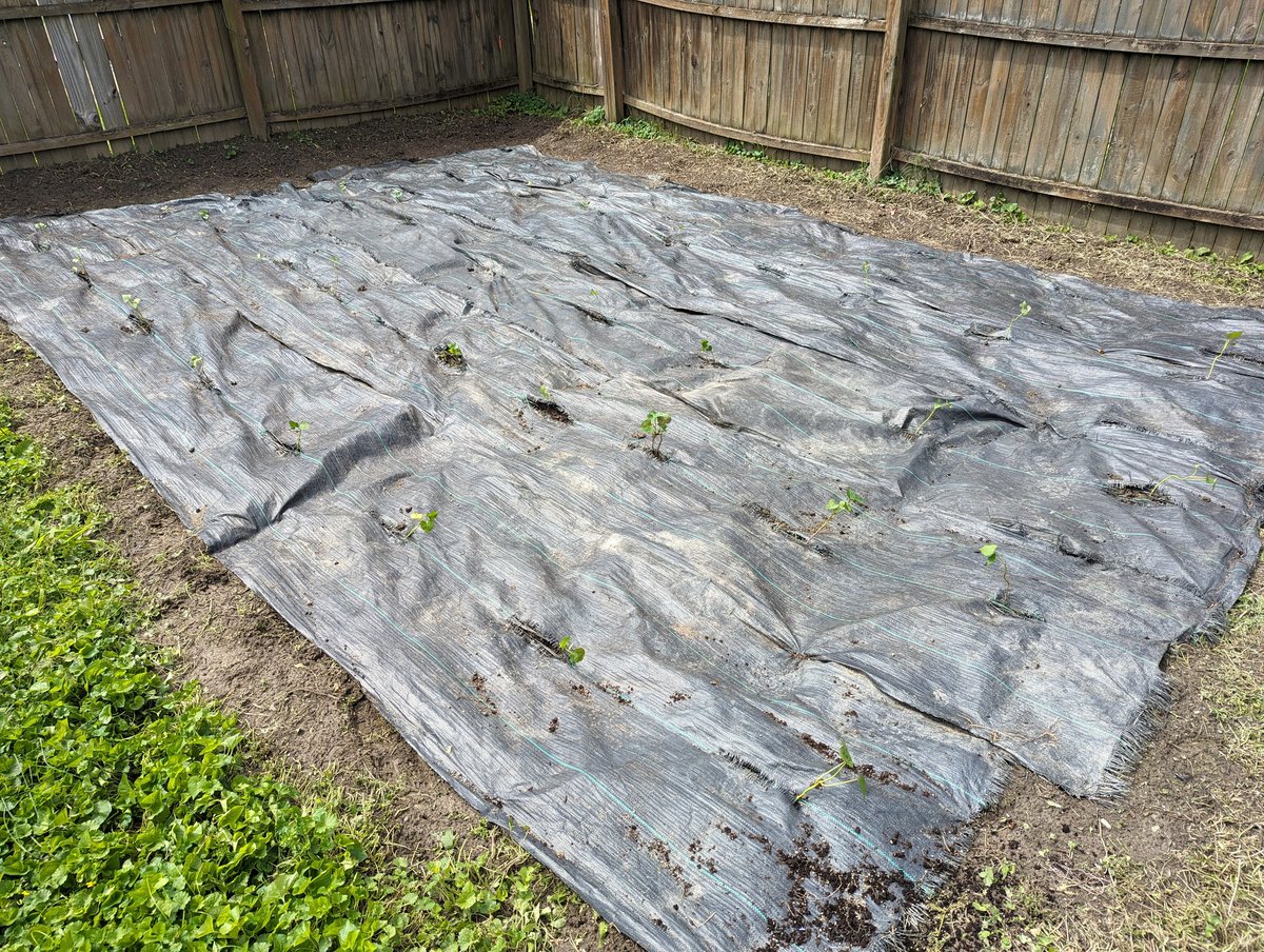 Matt Spangler tweet media