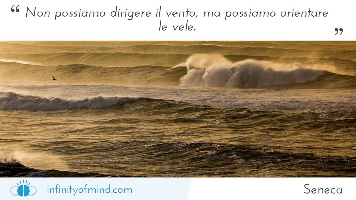 Infinity Of Mind tweet media