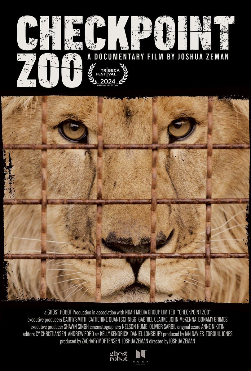 screenrant's tweet photo. Exclusive: Screen Rant presents the poster from @joshzeman’s new documentary #CheckpointZoo, detailing a 2022 zoo evacuation in Ukraine. The movie premieres June 6 at will premiere at #TribecaFilmFestival 2024. 

https://t.co/3F5nuvrp71 https://t.co/1hIDc7OkiZ