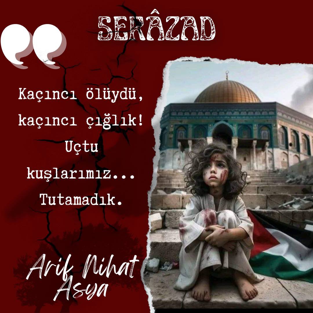 _Serazadd's tweet photo. Uçtu kuşlarımız tutamadık…
 #RafafOnFıre https://t.co/LybXlKE6p4