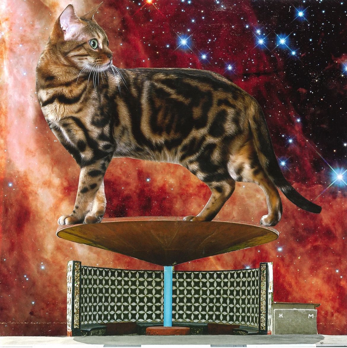 Creating a new series of purrfect collage! Cats at Bus Stops in Space! 🐱🚀✂️