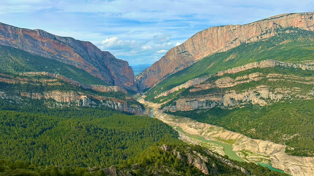 Oriol Ferrer tweet media