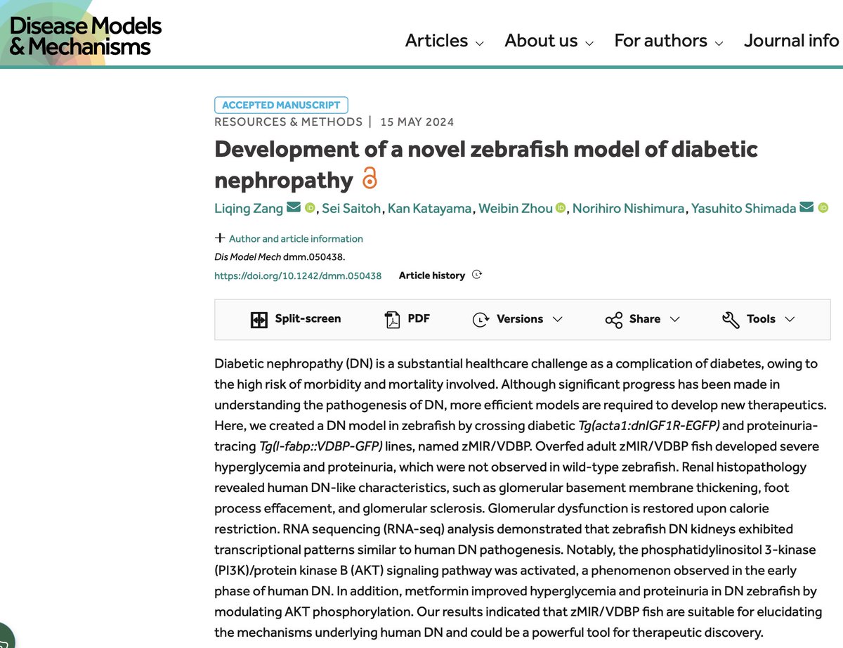 'Development of a novel zebrafish model of diabetic nephropathy' 🦓🐟 pubmed.ncbi.nlm.nih.gov/38747698/ Dr. Weibin Zhou @DOMSinaiNYC #Nephrology